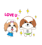 Shih Tzu Couple YaYa ＆ YoYo（個別スタンプ：21）