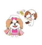 Shih Tzu Couple YaYa ＆ YoYo（個別スタンプ：25）