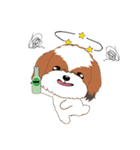 Shih Tzu Couple YaYa ＆ YoYo（個別スタンプ：28）