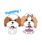 Shih Tzu Couple YaYa ＆ YoYo（個別スタンプ：31）