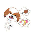 Shih Tzu Couple YaYa ＆ YoYo（個別スタンプ：33）