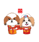 Shih Tzu Couple YaYa ＆ YoYo（個別スタンプ：37）