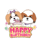 Shih Tzu Couple YaYa ＆ YoYo（個別スタンプ：38）