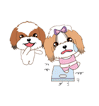 Shih Tzu Couple YaYa ＆ YoYo（個別スタンプ：40）