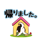 柴専2（柴犬専用）（個別スタンプ：20）