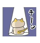 ちほねこ（個別スタンプ：24）