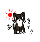 うちのねこたちvol.1（個別スタンプ：1）