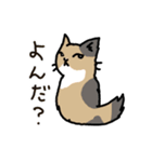 うちのねこたちvol.1（個別スタンプ：6）