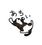 うちのねこたちvol.1（個別スタンプ：10）