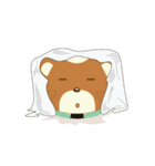 Keru Kuma（個別スタンプ：11）