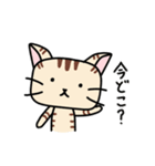 チビ猫のルゥ（個別スタンプ：13）