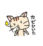 チビ猫のルゥ（個別スタンプ：14）