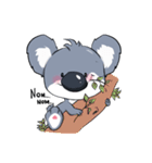 Koalas face extinction His name is Kolly（個別スタンプ：6）