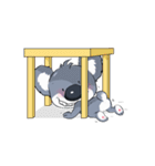 Koalas face extinction His name is Kolly（個別スタンプ：19）