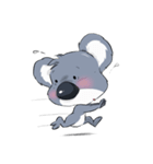 Koalas face extinction His name is Kolly（個別スタンプ：30）