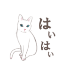 白い猫様達（個別スタンプ：32）