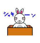 箱入りうさぎラビ（個別スタンプ：15）