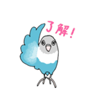 インコのくーちゃん（個別スタンプ：21）