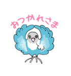 インコのくーちゃん（個別スタンプ：39）