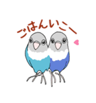 インコのくーちゃん（個別スタンプ：40）