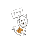 聴導犬たちの愉快な日々（個別スタンプ：24）