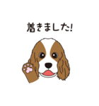 犬達のスタンプ（個別スタンプ：21）