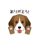 犬達のスタンプ（個別スタンプ：38）