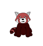 Kenta the Red Panda（個別スタンプ：2）