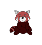 Kenta the Red Panda（個別スタンプ：31）