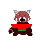 Kenta the Red Panda（個別スタンプ：36）