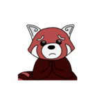 Kenta the Red Panda（個別スタンプ：37）