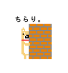 柴犬 ドット絵すたんぷ（個別スタンプ：40）