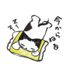 ふでペンねこくん（個別スタンプ：25）