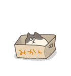 おとぼけねこ（個別スタンプ：28）