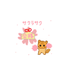 every day version3 of squirrel（個別スタンプ：15）