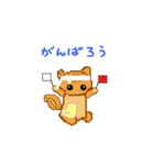 every day version3 of squirrel（個別スタンプ：20）