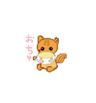 every day version3 of squirrel（個別スタンプ：35）