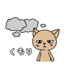 ねこたさんとねこみさん（個別スタンプ：15）