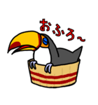 オニオオハシ（個別スタンプ：27）