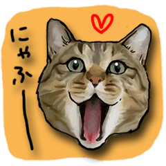 [LINEスタンプ] 猫田風太郎ですが何か。