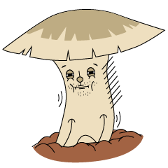 [LINEスタンプ] Fungus man (At the fork)