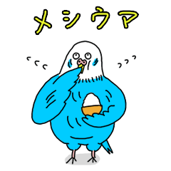 インコちゃんのオタク言葉