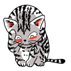 [LINEスタンプ] American Shorthair Cats-2