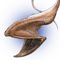 [LINEスタンプ] リアル深海生物