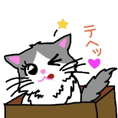 [LINEスタンプ] ハコネコめいちゃん  文字付きねこスタンプ