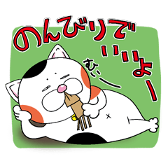 [LINEスタンプ] 三毛ねこタマやん