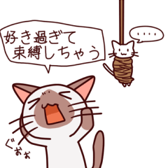 [LINEスタンプ] かまってシャムちゃんとにゃんこ達