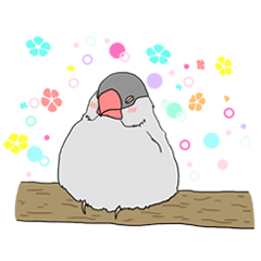 [LINEスタンプ] 世界の鳥スタンプ