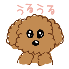 [LINEスタンプ] メッセージわんちゃん