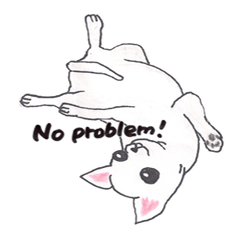 [LINEスタンプ] Life of Chihuahua(English)